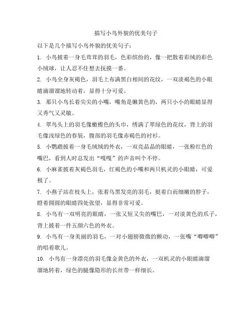 描写小鸟外貌的优美句子
