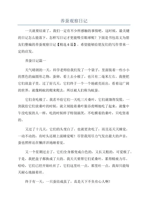 养蚕观察日记