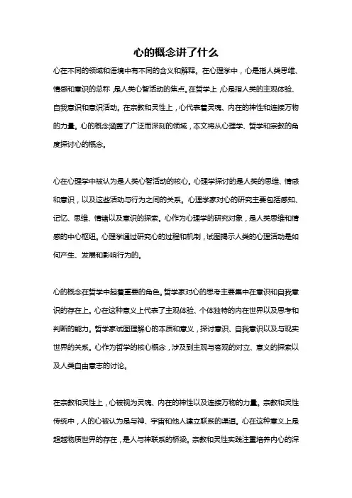 心的概念讲了什么