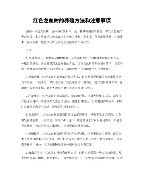 红色龙血树的养殖方法和注意事项