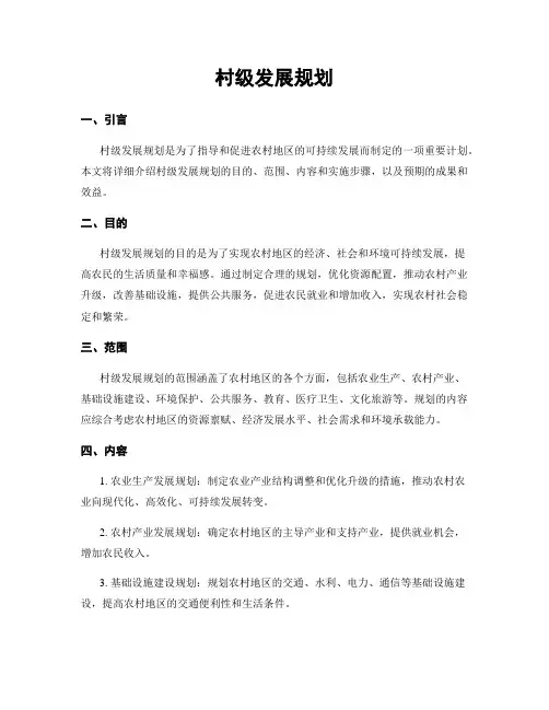 村级发展规划