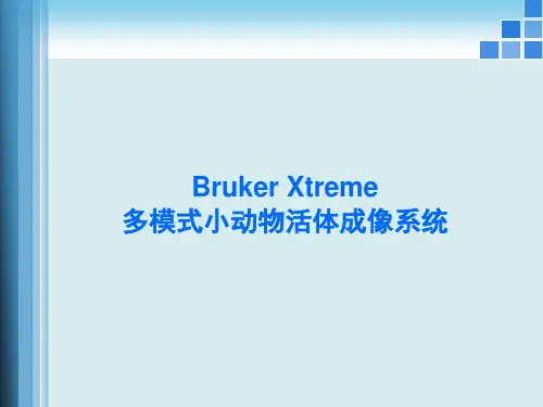 BrukerXtreme多模式小动物活体成像系统吴伟全