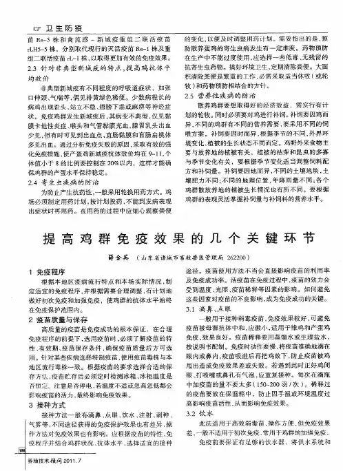 提高鸡群免疫效果的几个关键环节