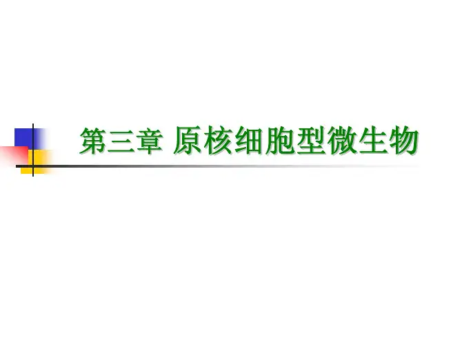 03第三章原核细胞型微生物