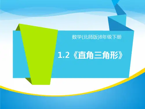 北师大版八年级数学下册1.2《直角三角形》课件(共14张PPT)
