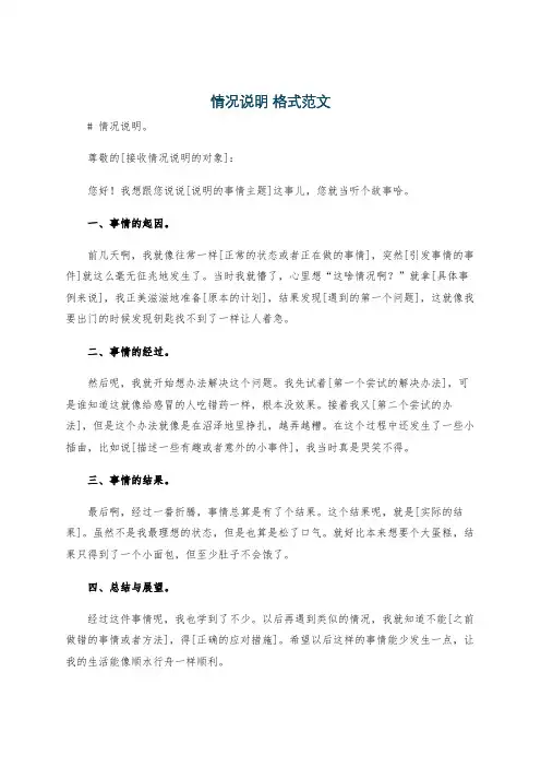 情况说明 格式范文