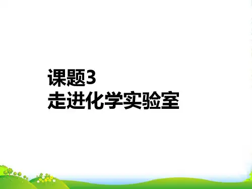 人教版九年级化学上册第一单元课题3 走进化学实验室课件 (共33张PPT)