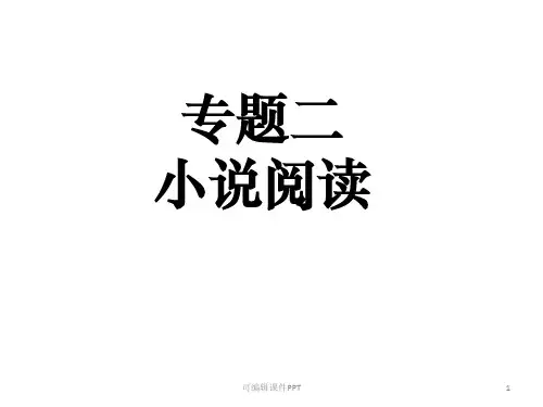 小说阅读方法指导ppt课件
