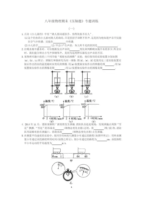 (完整版)八年级物理期末《压轴题》专题训练(含答案)