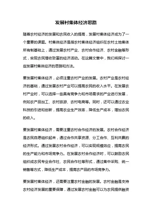 发展村集体经济思路