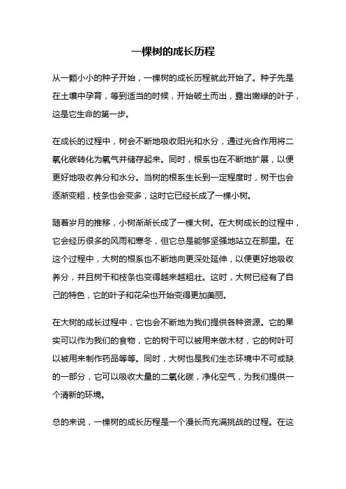 一棵树的成长历程