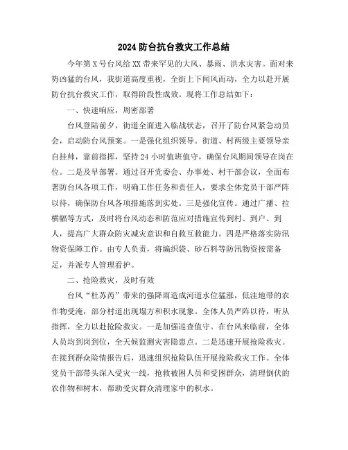 2024防台抗台救灾工作总结