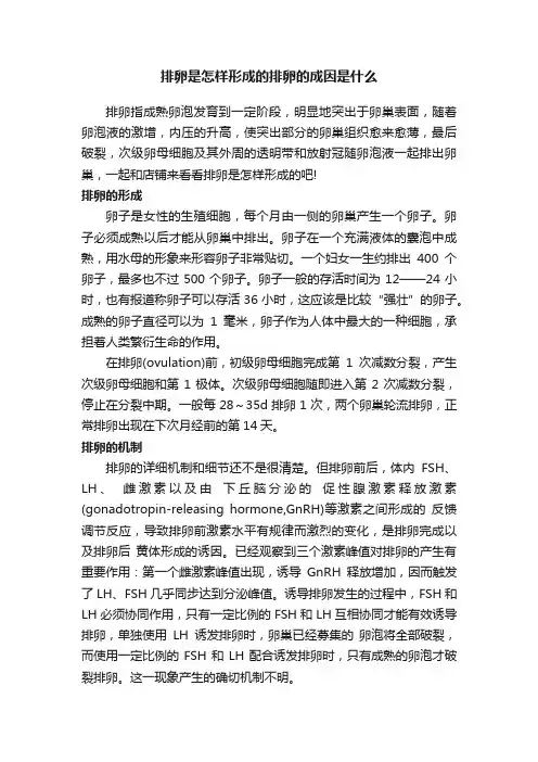 排卵是怎样形成的排卵的成因是什么