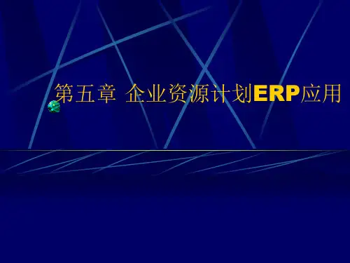 企业资源计划ERP应用培训课件(ppt 45页)