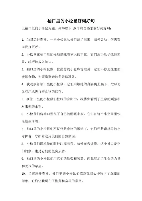袖口里的小松鼠好词好句