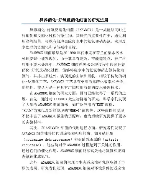 异养硝化-好氧反硝化细菌的研究进展