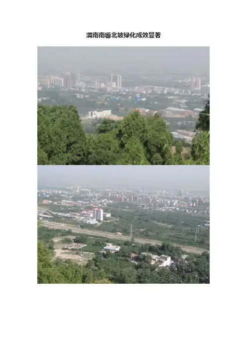 渭南南塬北坡绿化成效显著