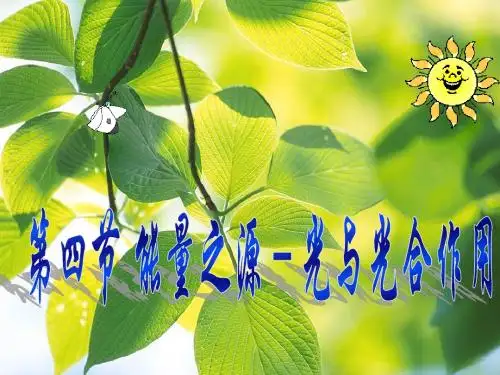 第四节能量之源——光与光合作用