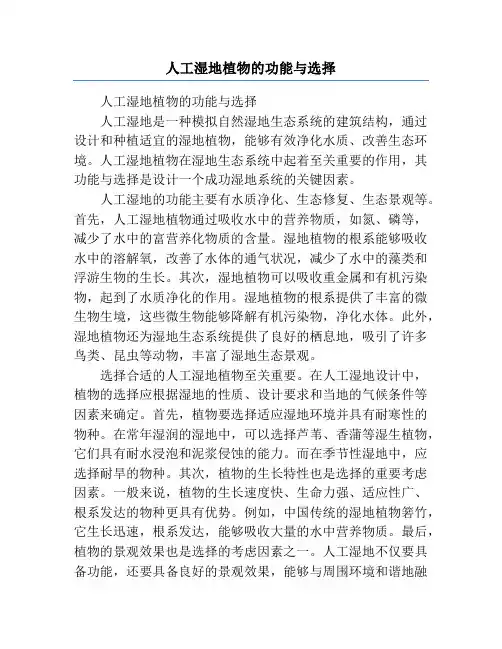 人工湿地植物的功能与选择