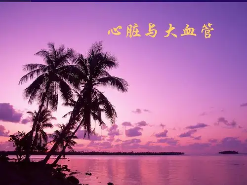 心脏与大血管