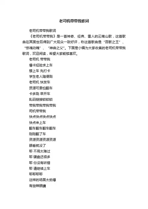 老司机带带我歌词