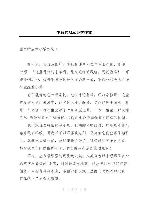 生命的启示小学作文