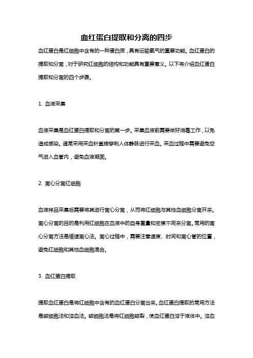 血红蛋白提取和分离的四步