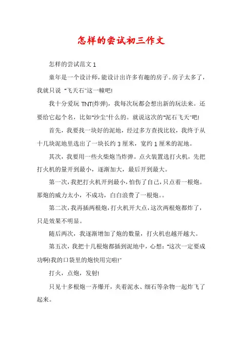 怎样的尝试初三作文