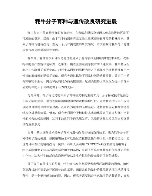 牦牛分子育种与遗传改良研究进展