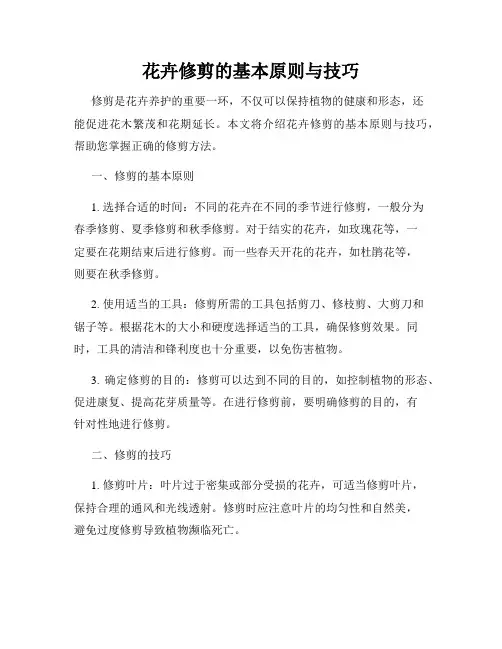 花卉修剪的基本原则与技巧