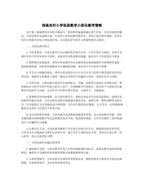 浅谈农村小学低段数学小班化教学策略