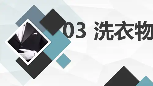 苏科版小学三年级上册劳动与技术教学课件：03 洗衣物