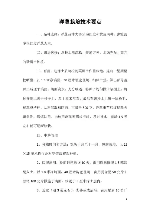 洋葱栽培技术要点