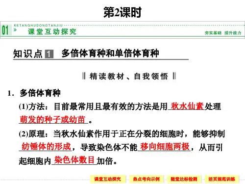 新课标人教版生物必修二522染色体变异ppt课件