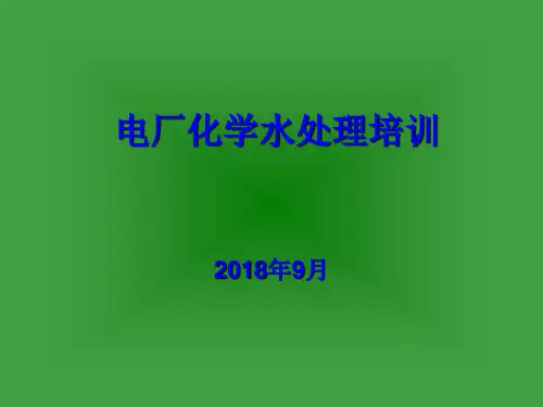 电厂化学水处理培训