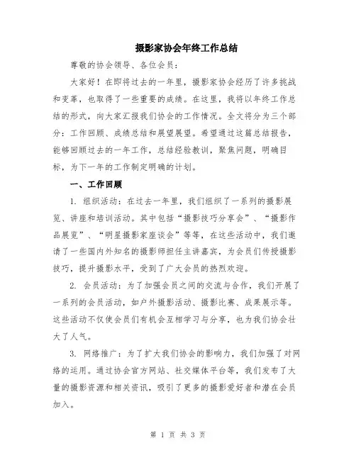 摄影家协会年终工作总结