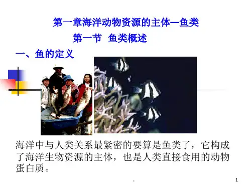 海洋鱼类PPT课件