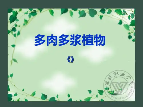 多肉多浆植物PPT课件