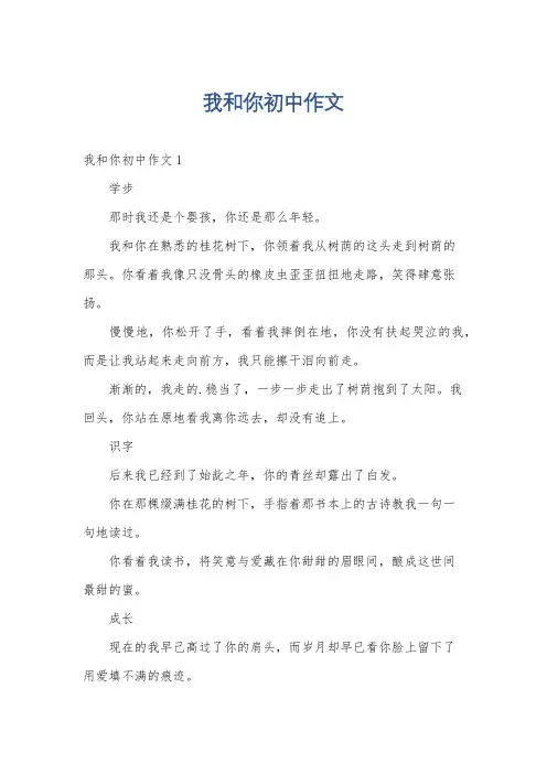 我和你初中作文