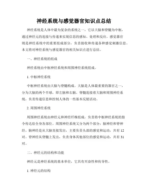 神经系统与感觉器官知识点总结