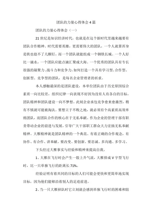 团队的力量心得体会4篇
