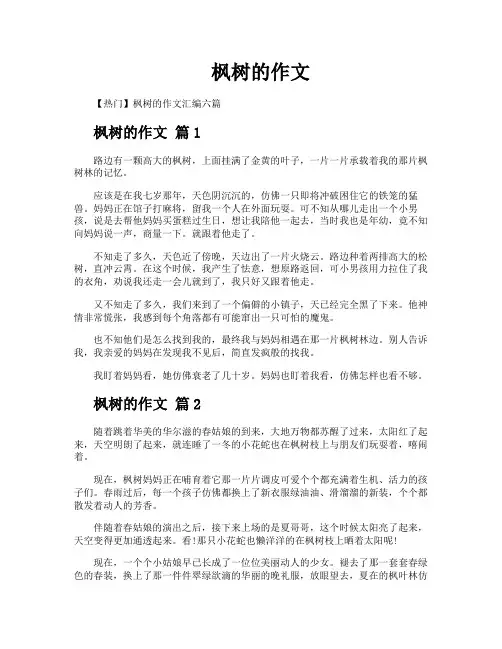 枫树的作文