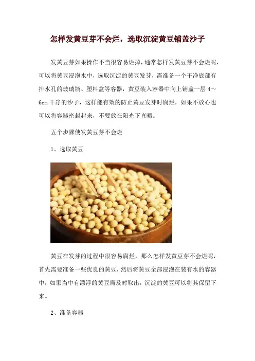 怎样发黄豆芽不会烂,选取沉淀黄豆铺盖沙子