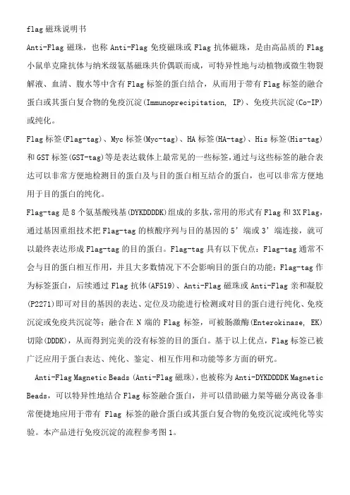 flag磁珠说明书