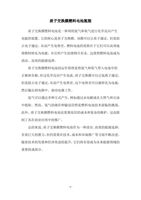 质子交换膜燃料电池氢能