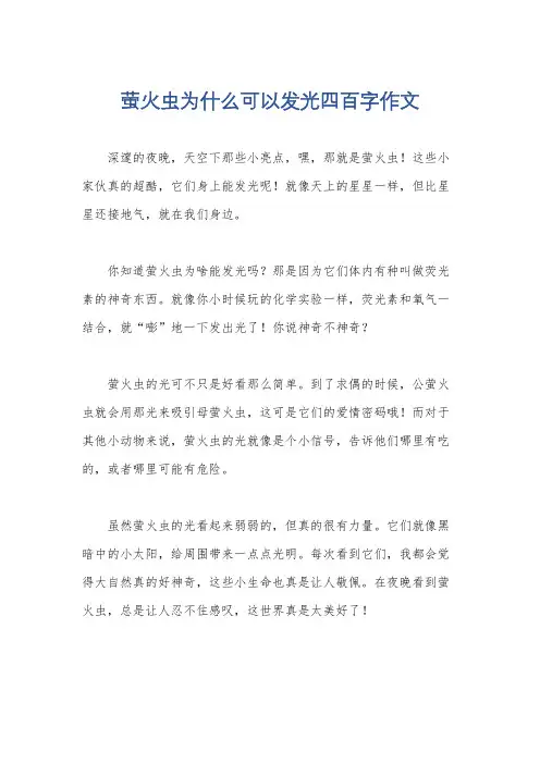 萤火虫为什么可以发光四百字作文