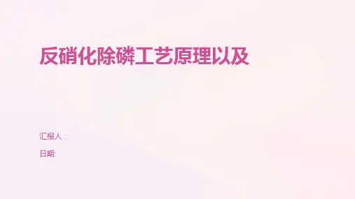 反硝化除磷工艺原理以及