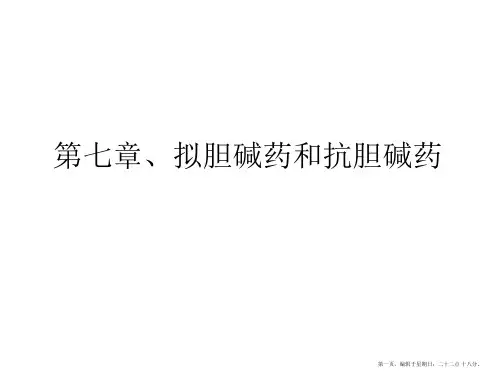 拟胆碱及抗胆碱药