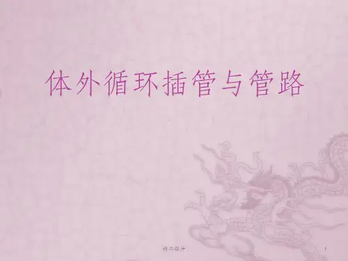 体外循环插管与管路