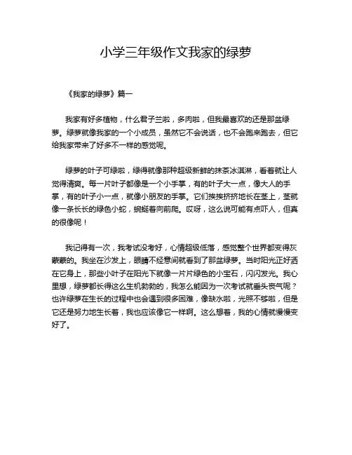 小学三年级作文我家的绿萝